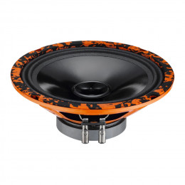 DL Audio Gryphon Lite 200 V.2 (20см RMS-70Вт)