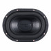 DL Audio Phoenix Black Bass 69 (RMS-200Вт\2+2Ом)