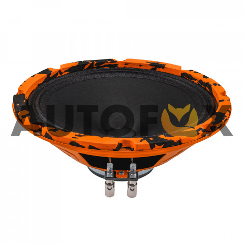 DL Audio DL Audio Gryphon Pro 200 Neo (20см RMS-100Вт) Эстрадная акустика